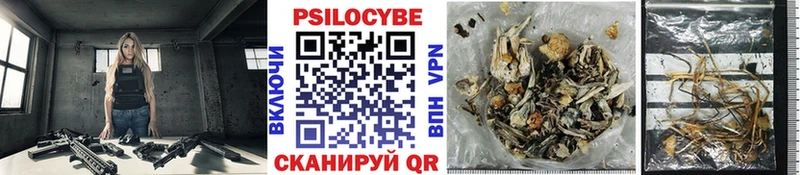 blacksprut зеркало Апрелевка Псилоцибиновые грибы мухоморы где найти